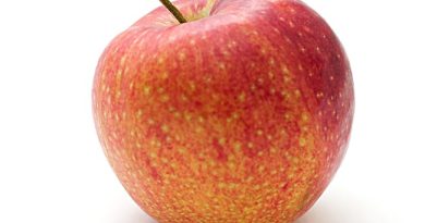 Æbletræer til din have – friske og fulde af liv